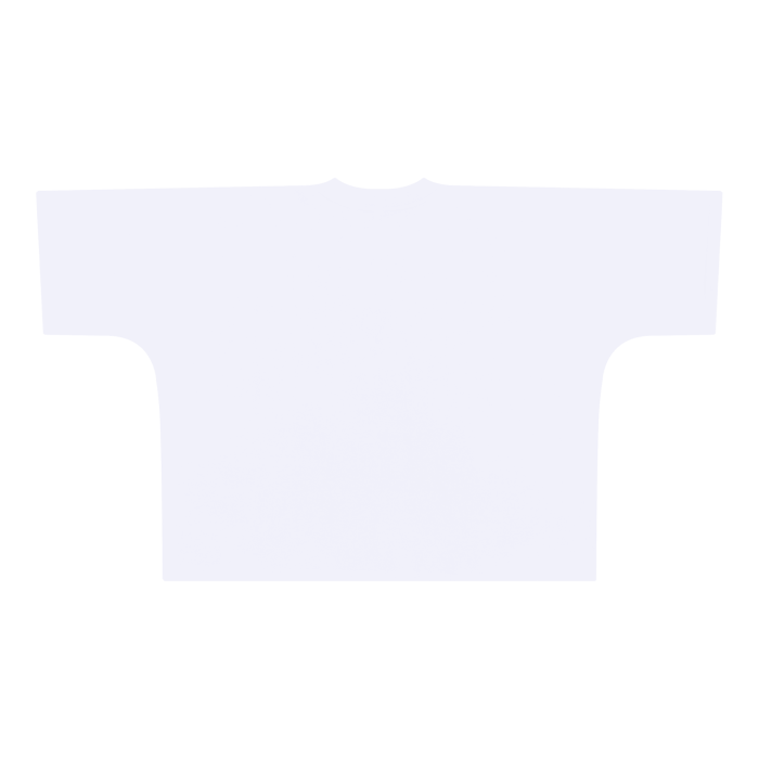 Seeker's Palace Oversize Boxy T shirt